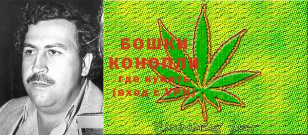 соль курить ск Белокуриха