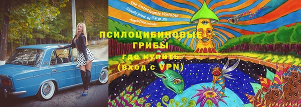 соль курить ск Белокуриха