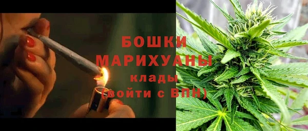 соль курить ск Белокуриха