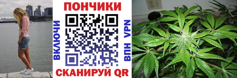 МАРИХУАНА тримм  Духовщина 